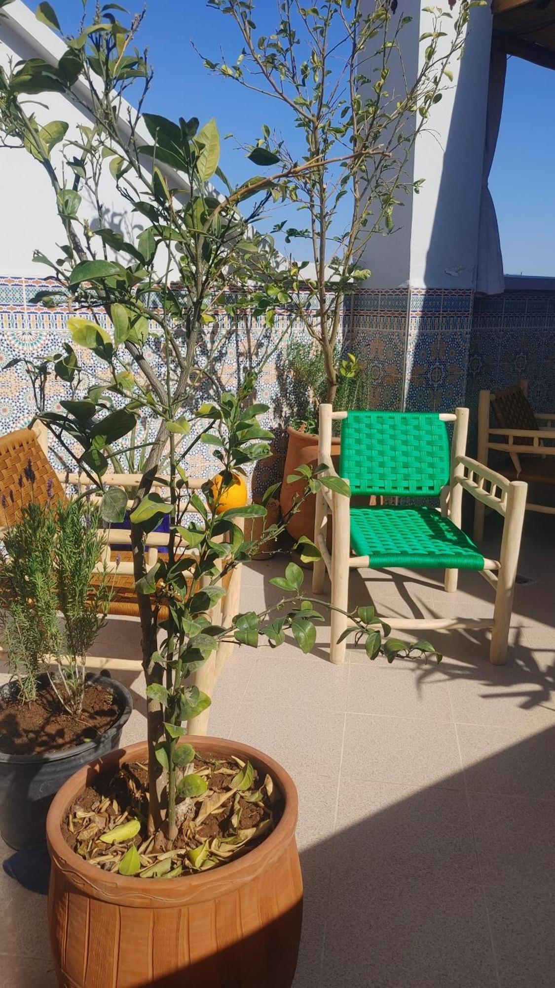 Dar Amane - Charmante Maison Marocaine Marrakesh Eksteriør billede